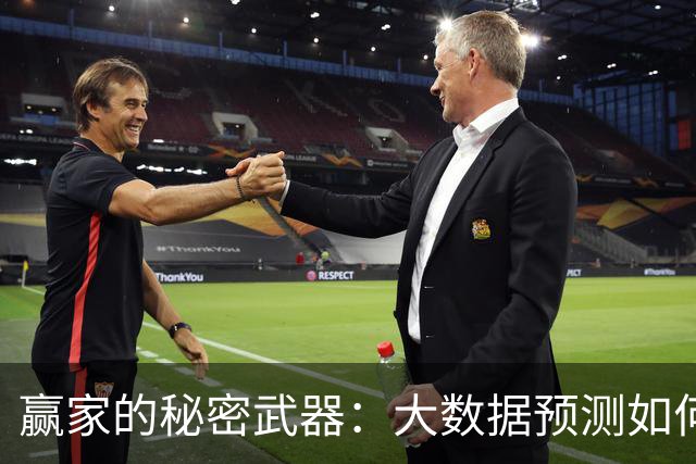 赢家的秘密武器：大数据预测如何让你的彩票梦想照进现实