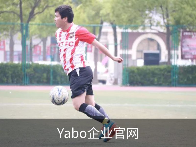 关于Yabo企业官网
